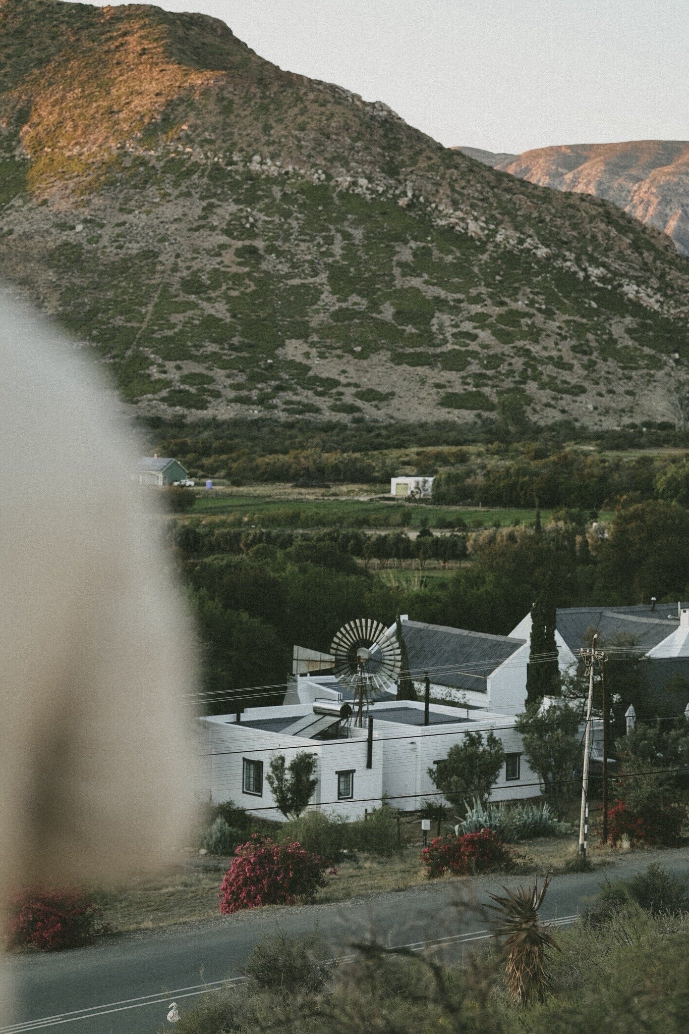 Dennehof Karoo Guesthouse-官方