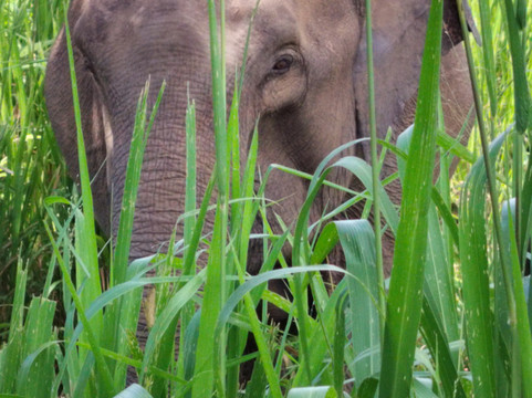 Travel By Helese-卡塔拉伽马必去景点