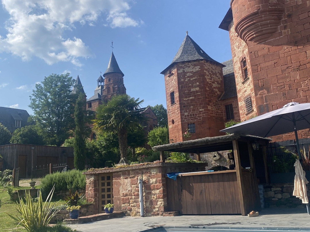 Château de Vassinhac景点图片