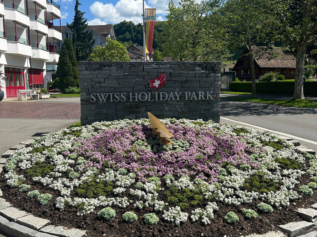 Hotel Swiss Holiday Park主图