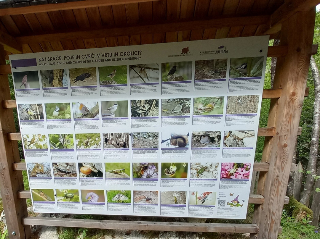 Alpine Botanical Garden Juliana-Trenta必去景点