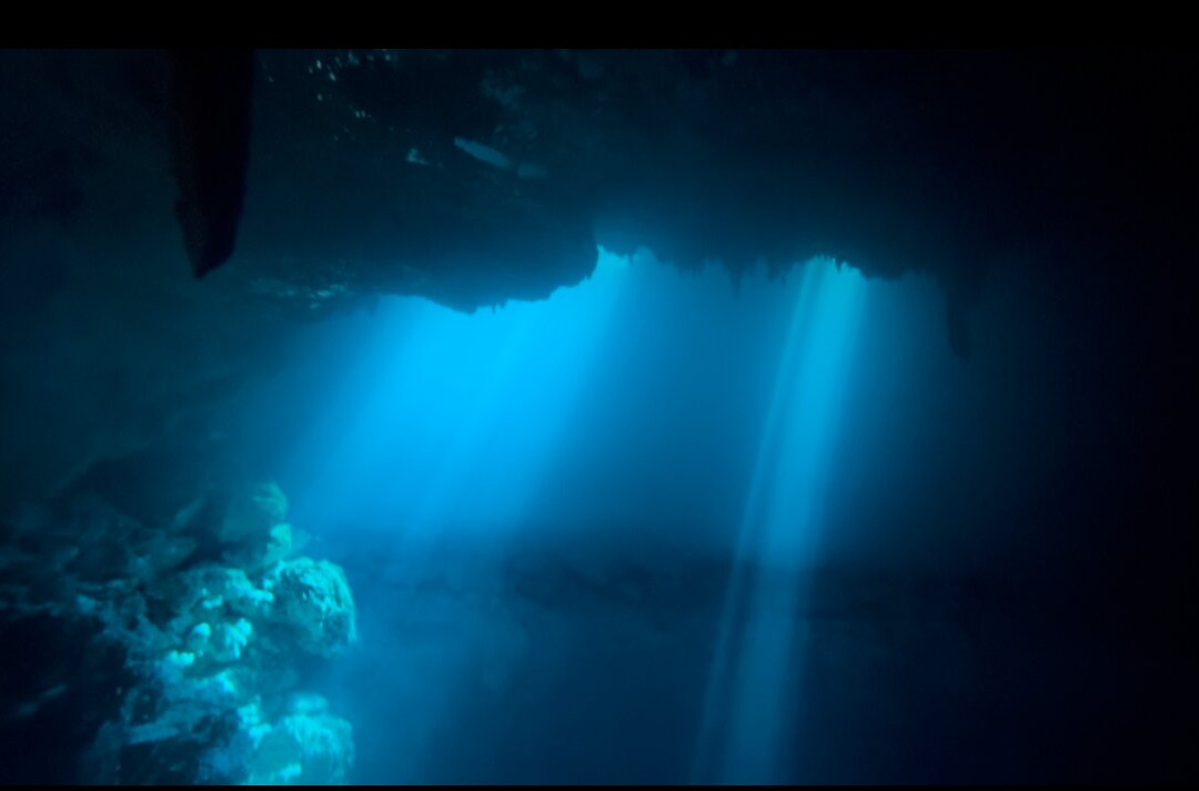 Blue Experience Diving-艾库玛尔必去景点