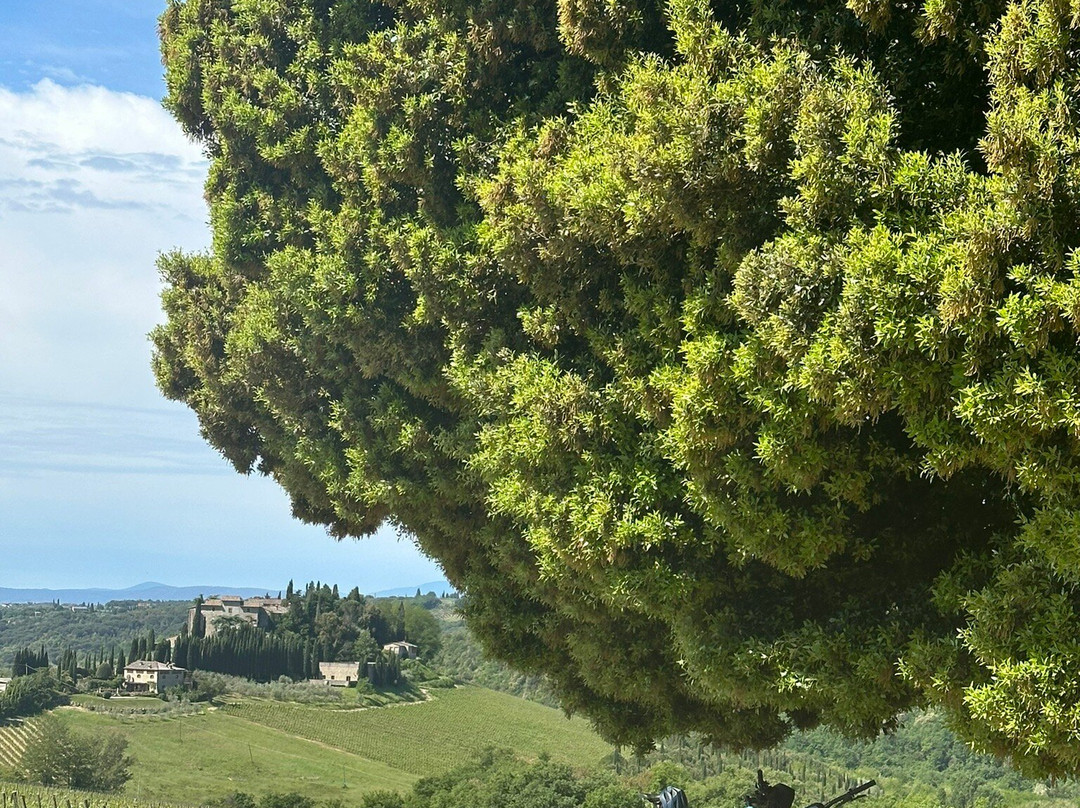 Crete Senesi-阿夏诺必去景点
