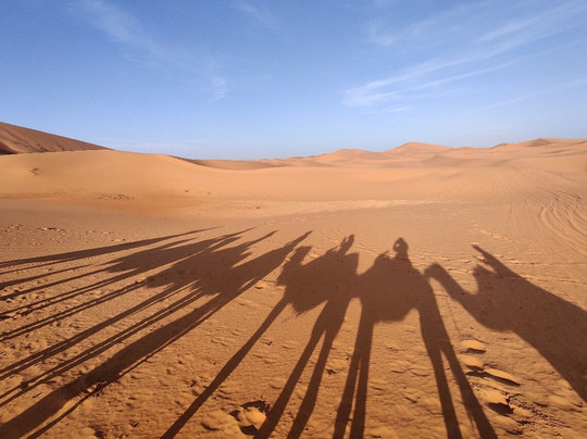 Service Transfers-马拉喀什必去景点