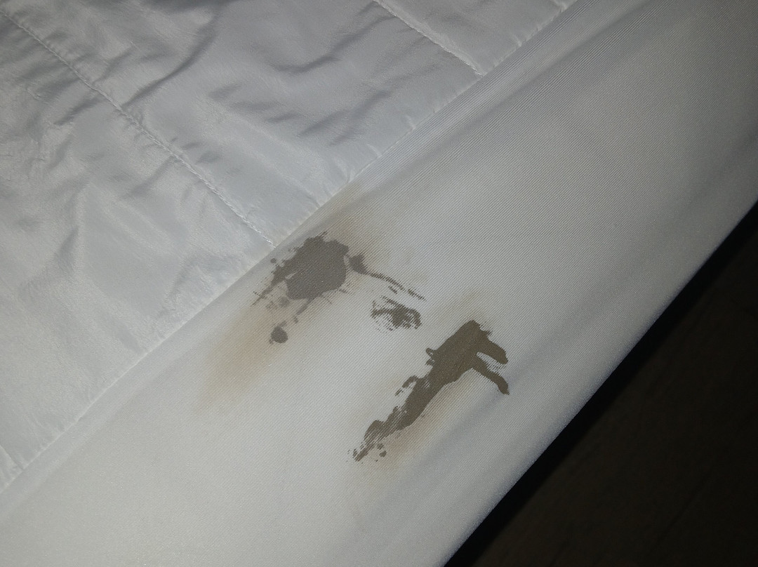 Super 8 by Wyndham Dalton主图