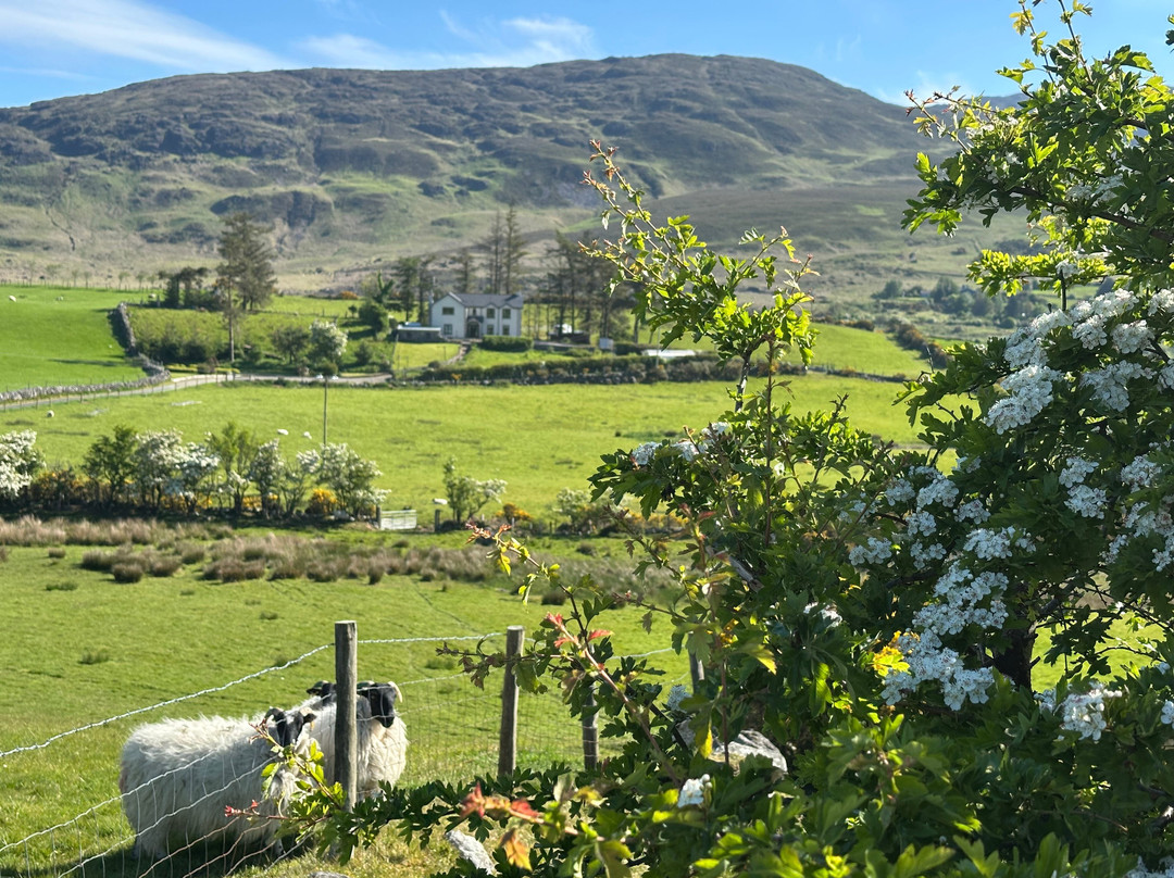 Carlingford Yoga景点图片