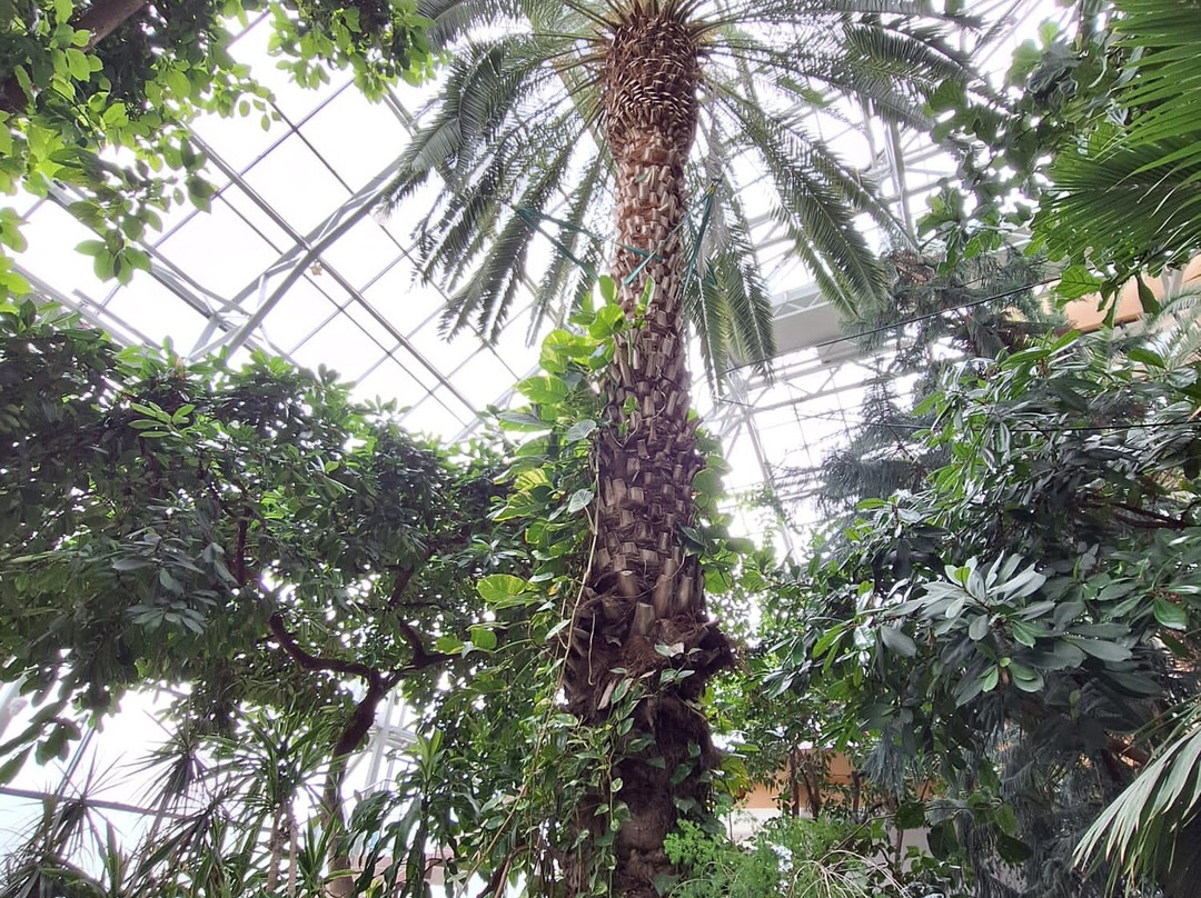 Palm House-绿山城必去景点