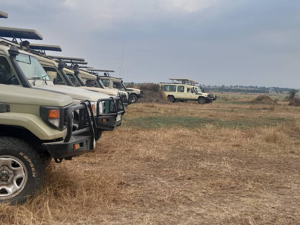 Smart Wildlife Safaris Ltd-乞力马扎罗区必去景点