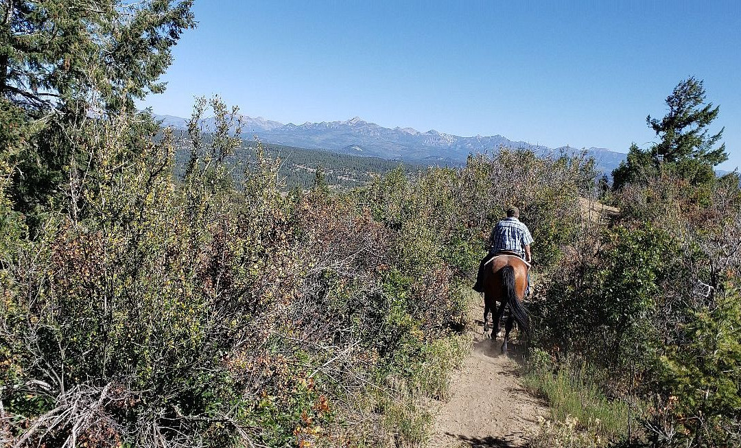 Astraddle A Saddle-帕戈萨斯普林斯必去景点