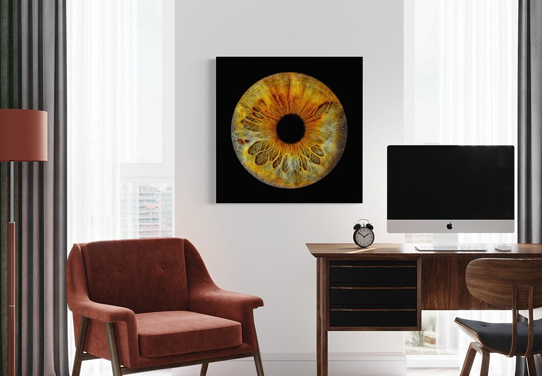 Eyecatcher Iris Photography-纽霍普必去景点
