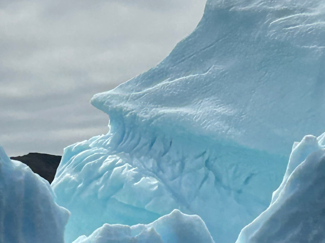 Iceberg Alley Boat Tours-St. Anthony必去景点