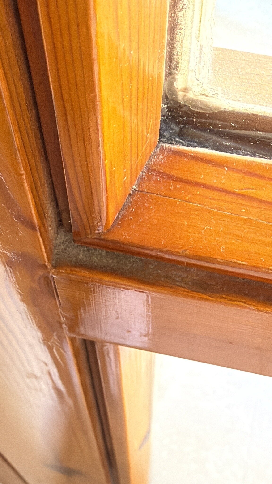 Hotel Residence Ulivi e Palme-官方