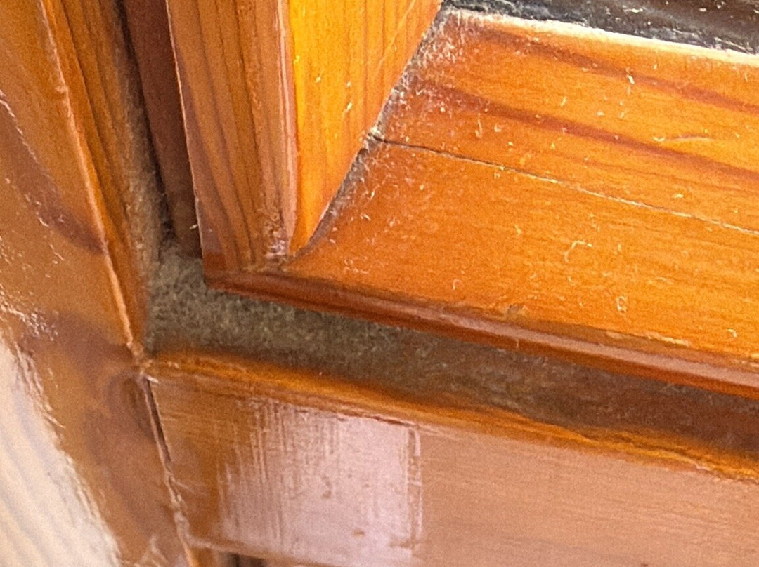 Hotel Residence Ulivi e Palme主图