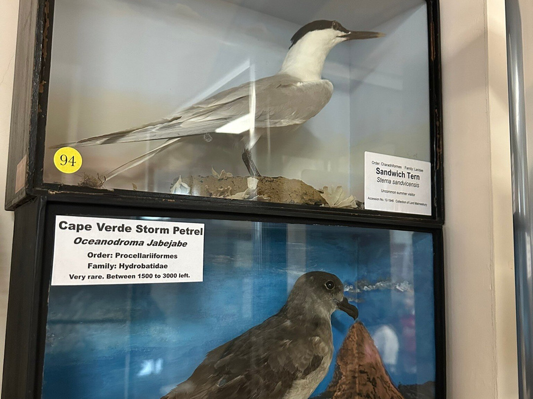 Bournemouth Natural Science Society-伯恩茅斯必去景点