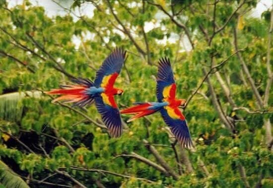 COSTA RICA XPLORES景点图片