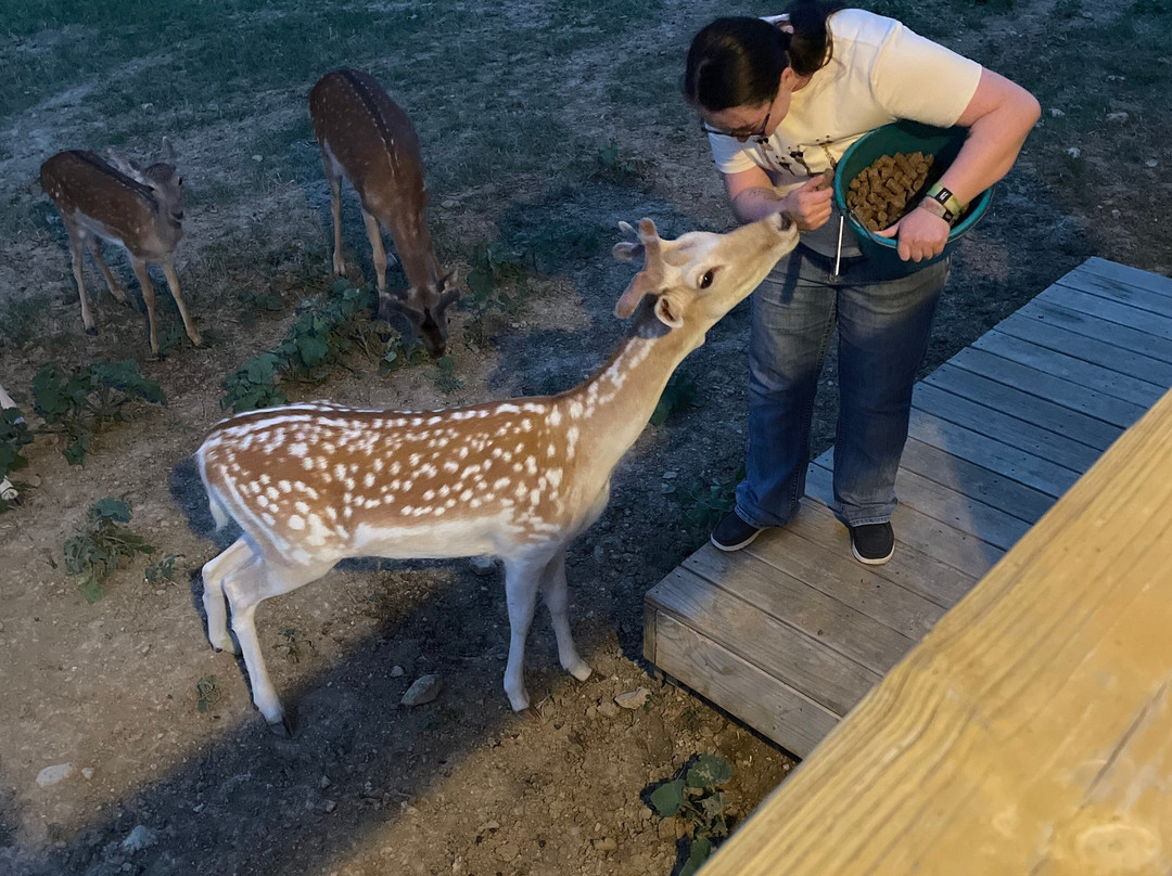 Blue Hills Ranch主图