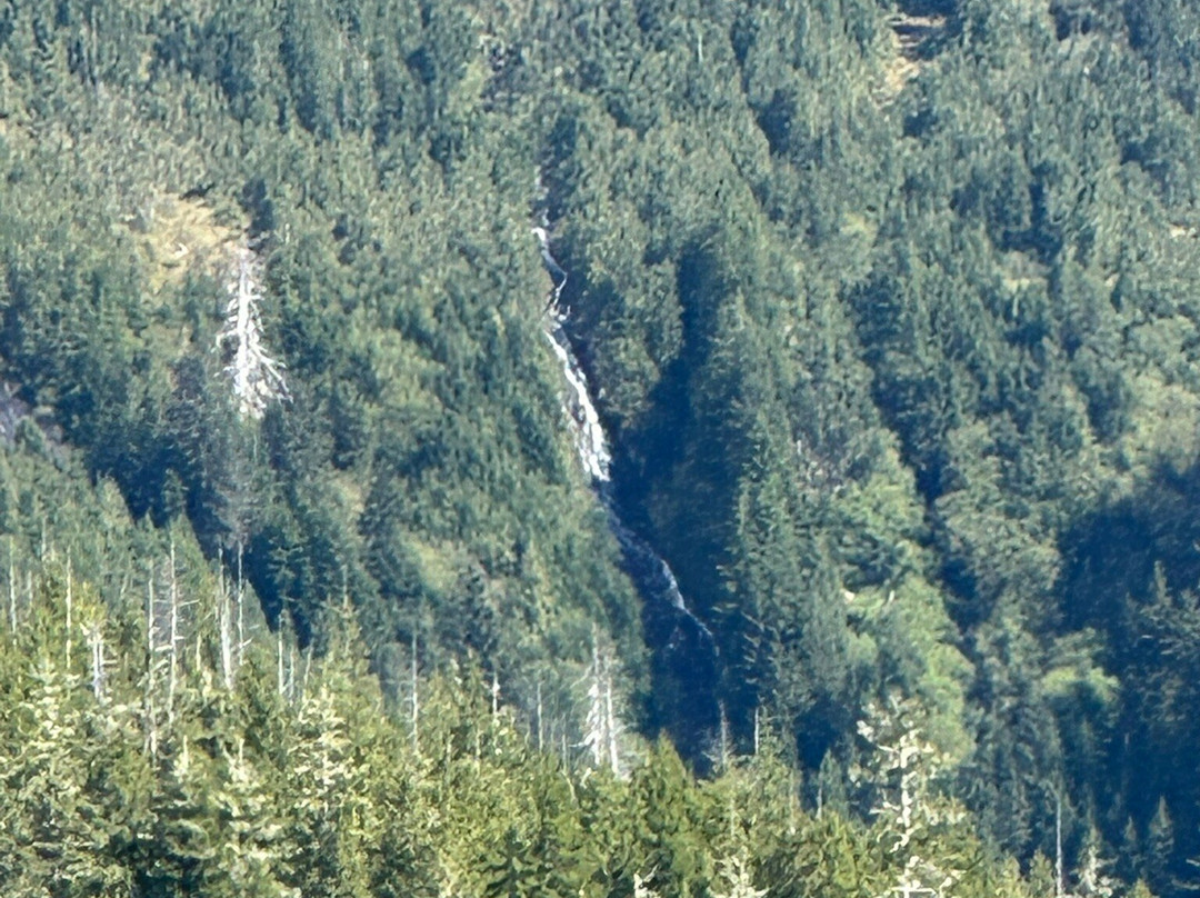 The Mill at Ward Cove Rainforest E-Bike & Nature Walk-Ward Cove必去景点