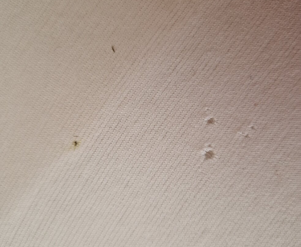 布肯维特天纳霍夫主图