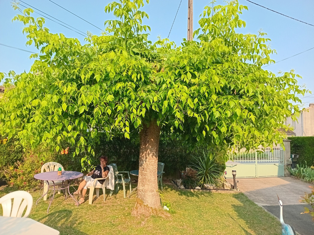 AU Coeur du Marais