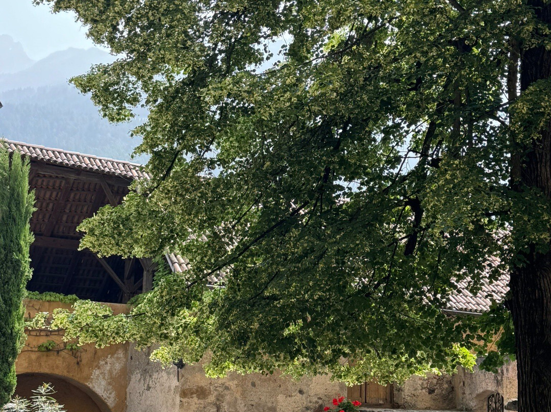 Castel Scena景点图片