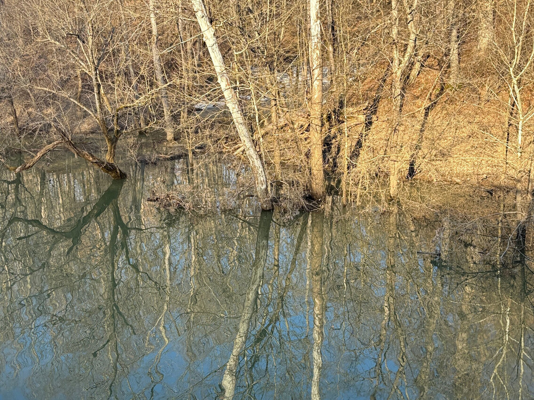 Charlestown State Park景点图片