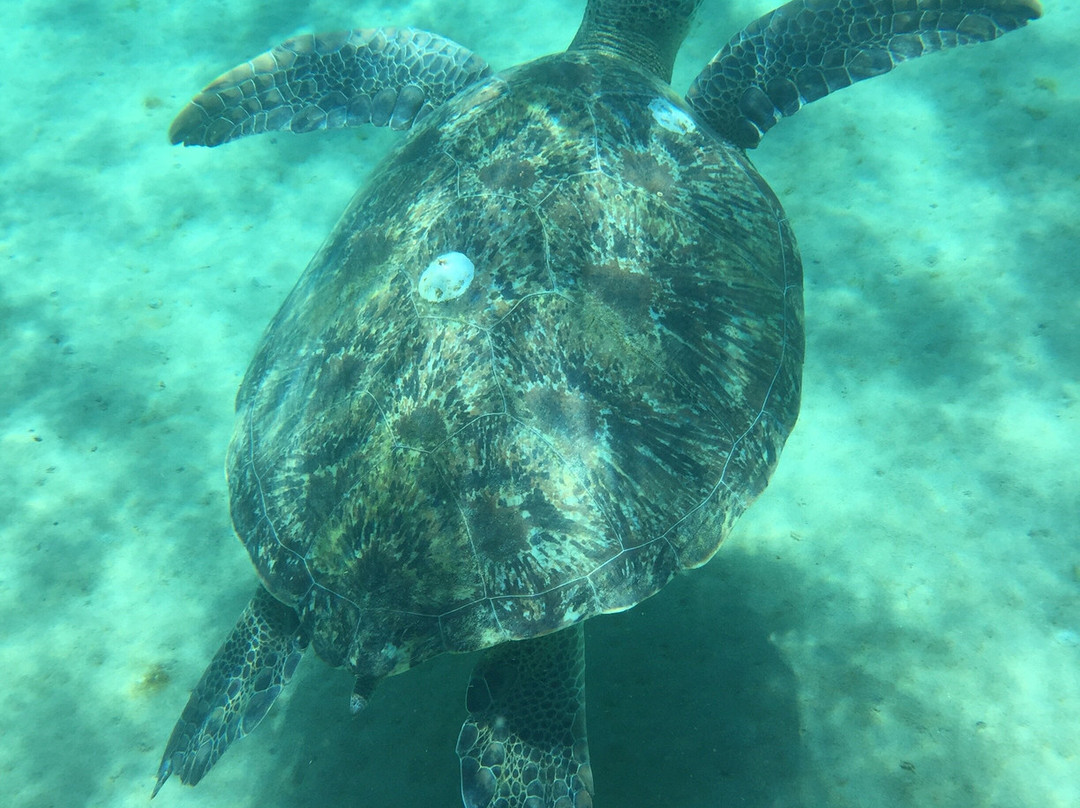 Kalinago-Sainte-Anne必去景点
