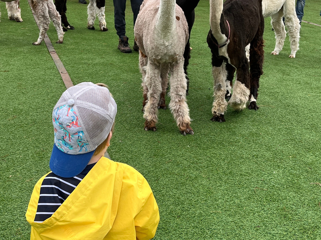 Eagle Eye Farm-River Falls必去景点