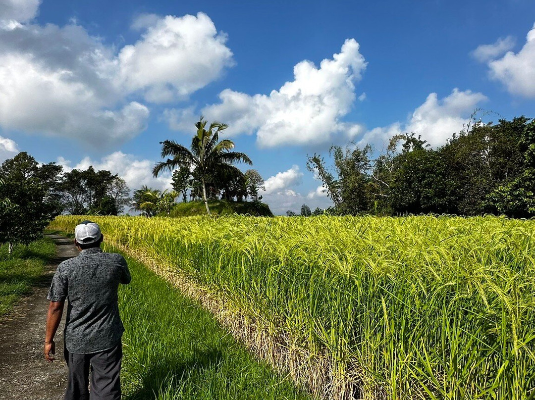 Bali Walking Hiking Adventure - Day Tours-登巴萨必去景点