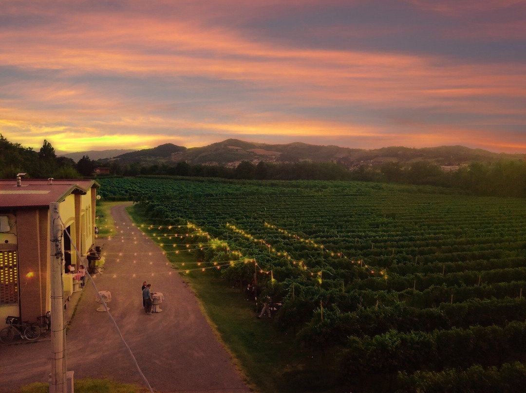 Tenuta Vandelli-San Michele dei Mucchietti必去景点