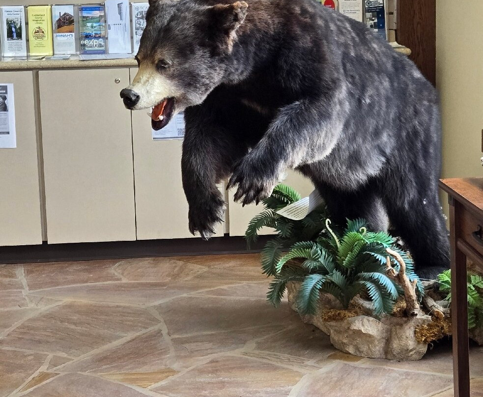 Crossville-Cumberland County Gateway to the Big South Fork Visitor Center-Crossville必去景点