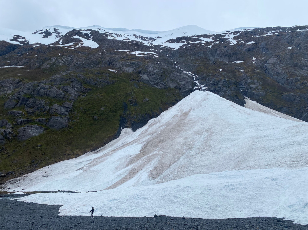 Byron Glacier Trail-安克雷奇必去景点