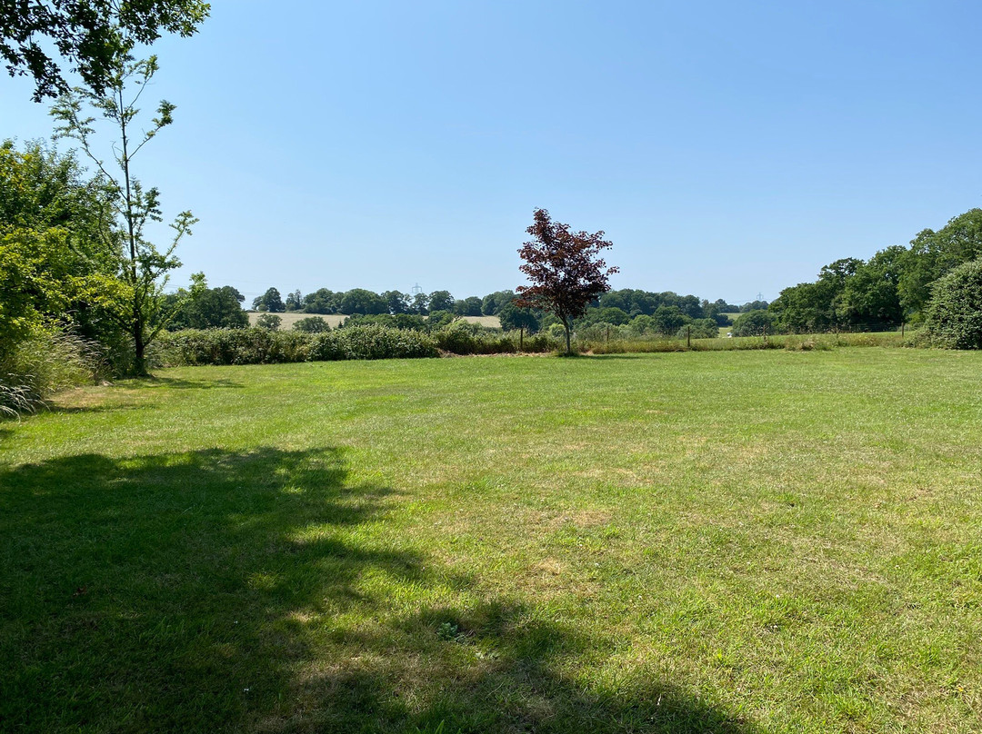 The White Horse, Maplehurst.-霍舍姆必去景点