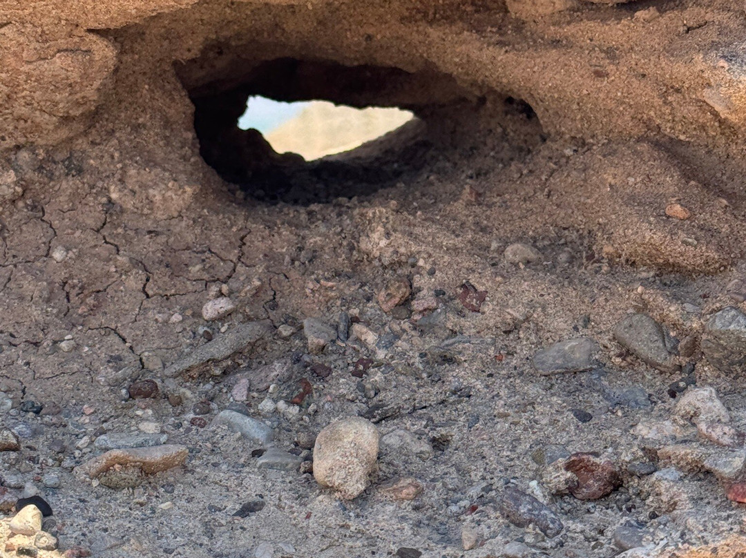 Sevilleta National Wildlife Refuge-La Joya必去景点