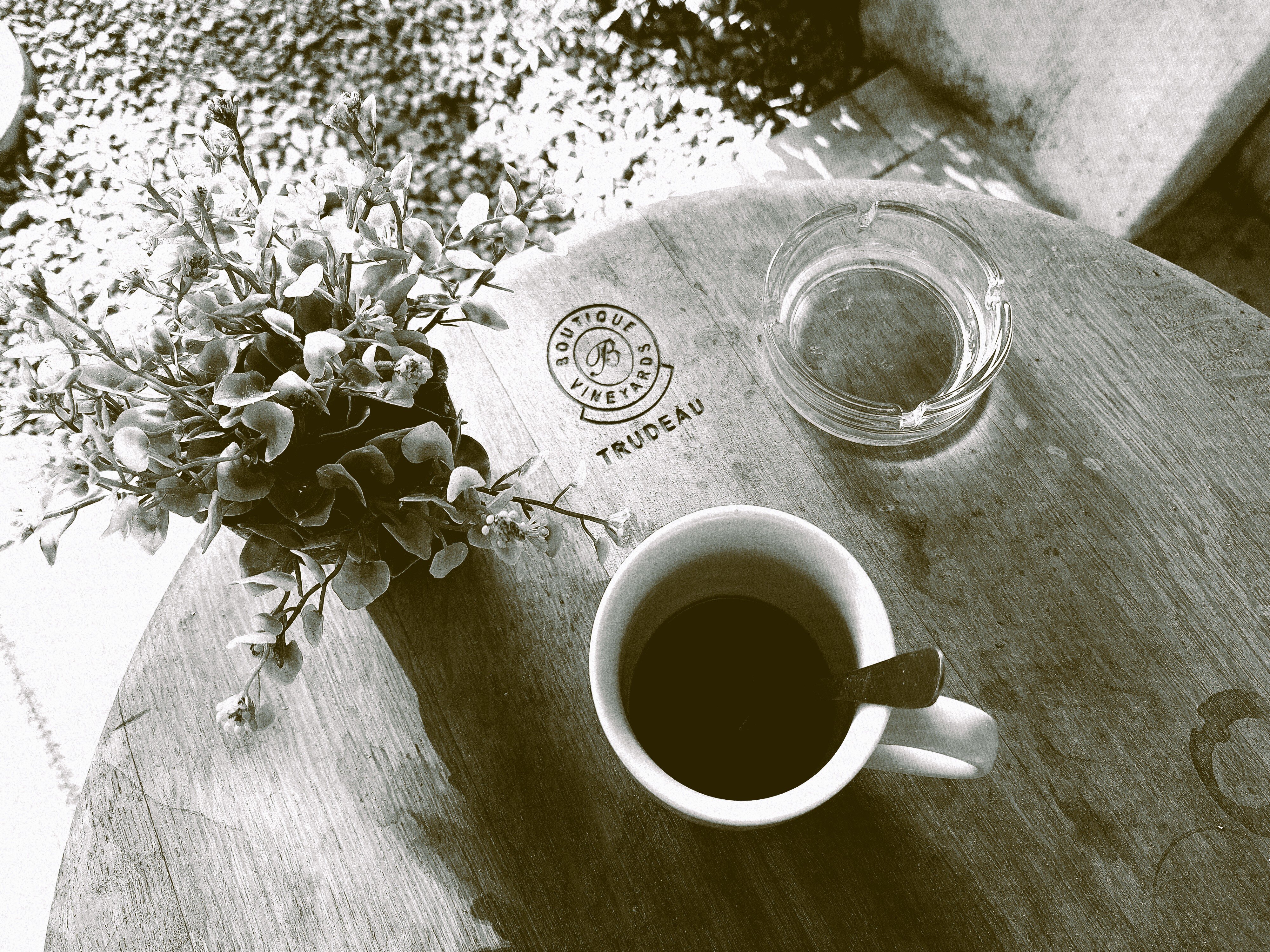 Petite Provence B&b-官方