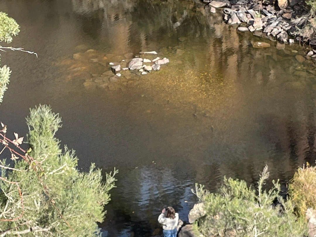 Loddon Falls-Glenlyon必去景点
