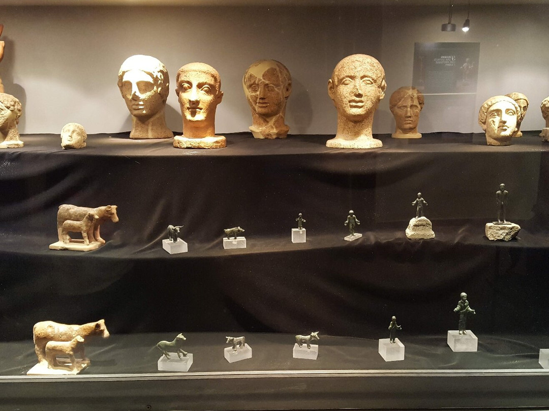 Museo Archeologico e della Vite e del Vino-Scansano必去景点