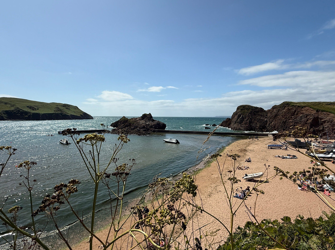 e-Xplore Devon-金斯布里奇必去景点