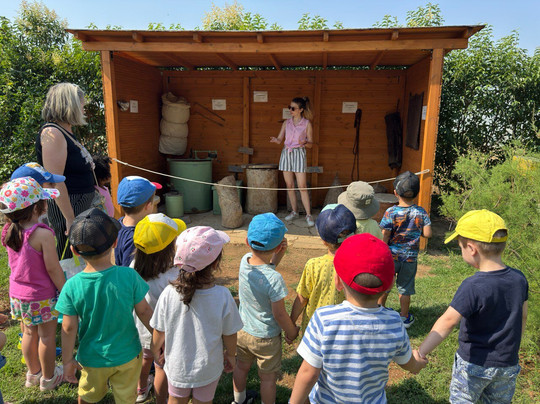 Bee Garden-Nea Redestos必去景点