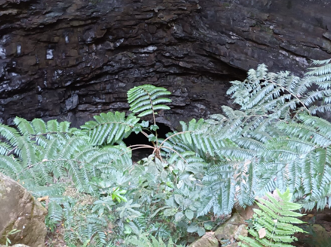 Buraco das Andorinhas-Formosa必去景点