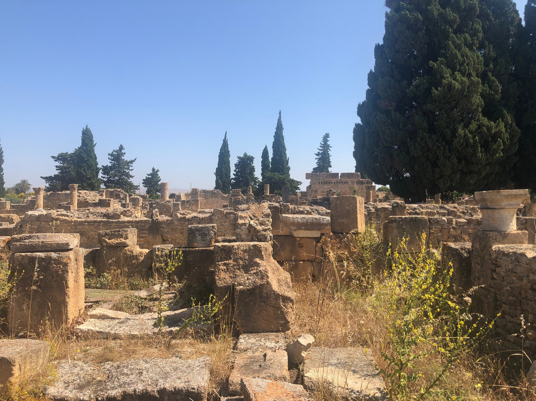 Utica-比塞大必去景点