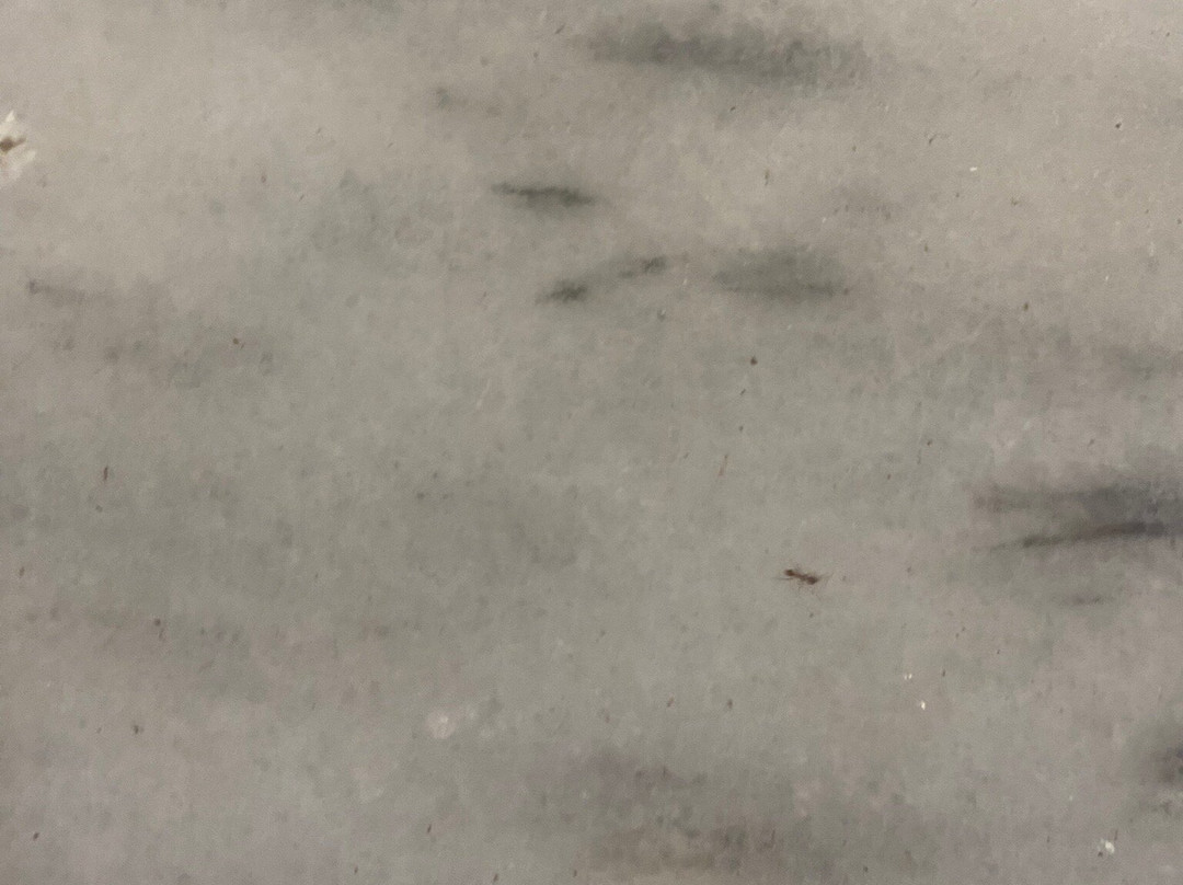 Bayside Hotel Katsaras主图