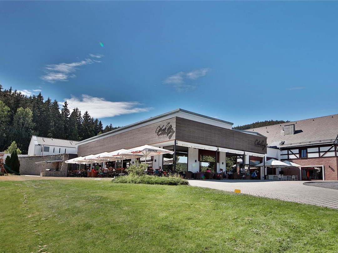 Horni Slavkov酒店住宿-Cihelny Golf & Wellness Resort
