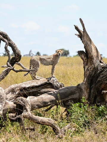 Vision Safari & Tours-阿鲁沙必去景点