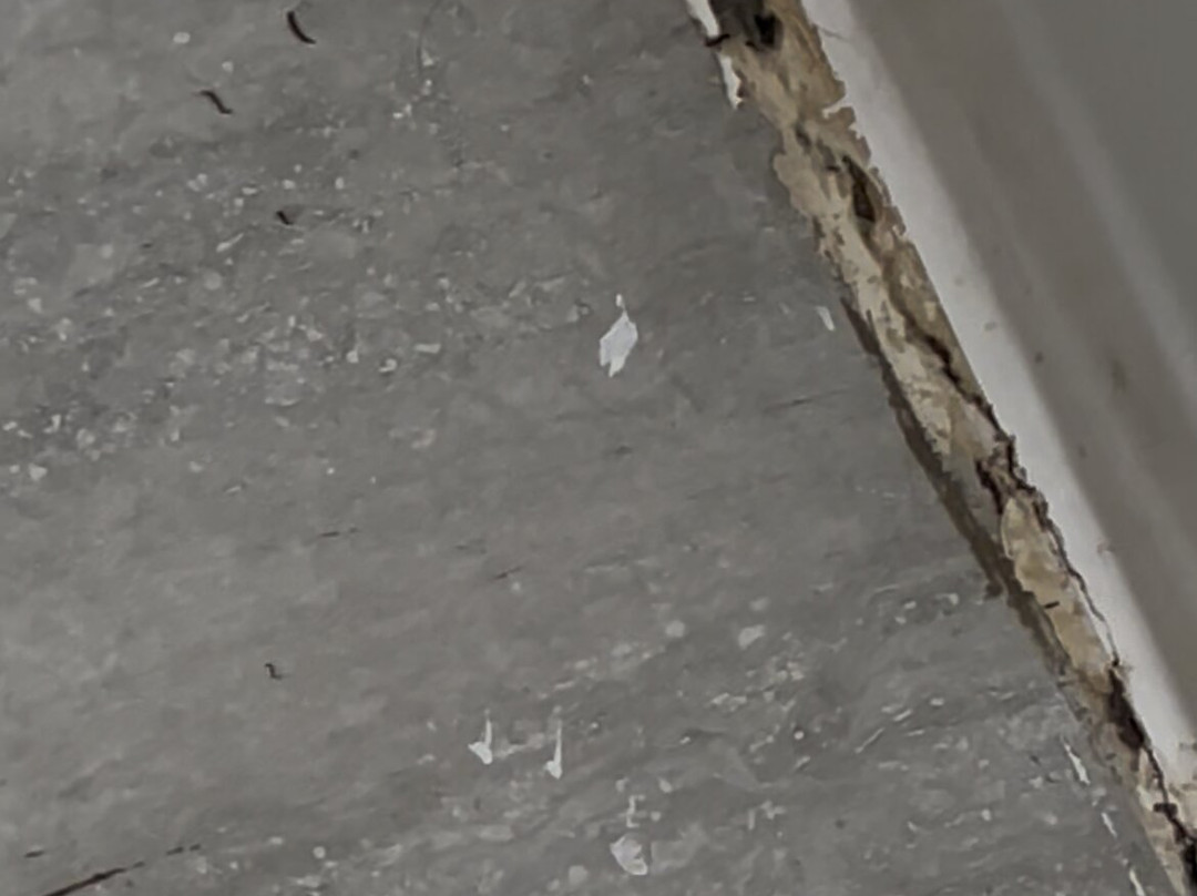 Days Inn by Wyndham Jackson主图