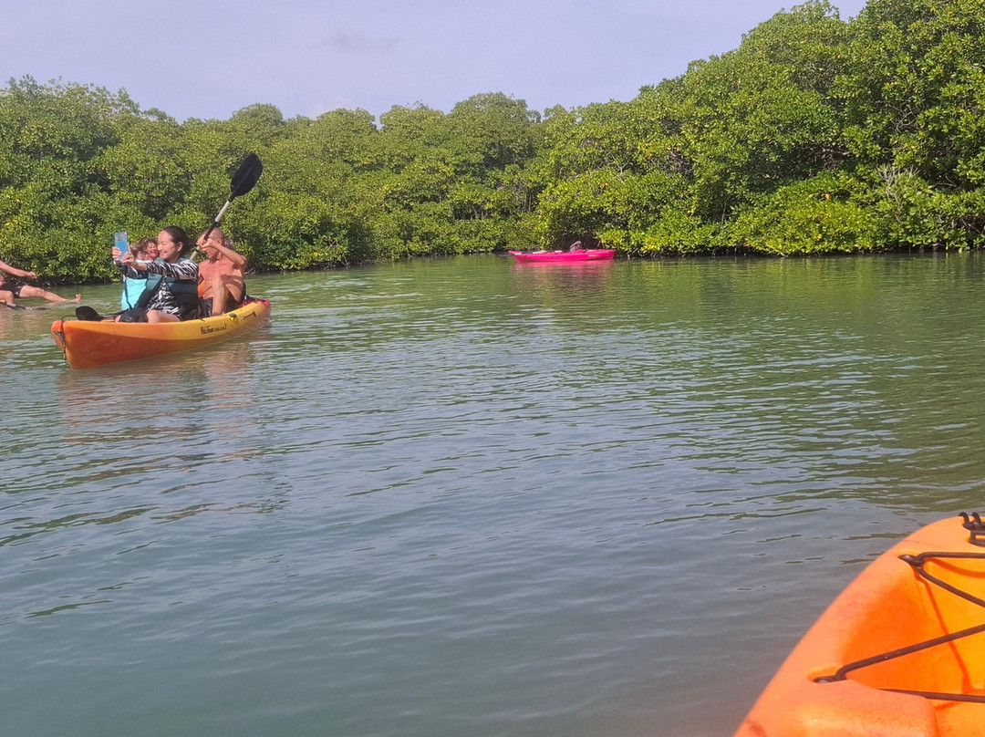 Mangrove Center-Kralendijk必去景点