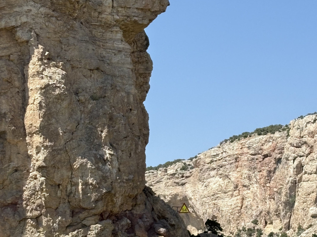 Hidden Treasure Day Charters-Lovell必去景点