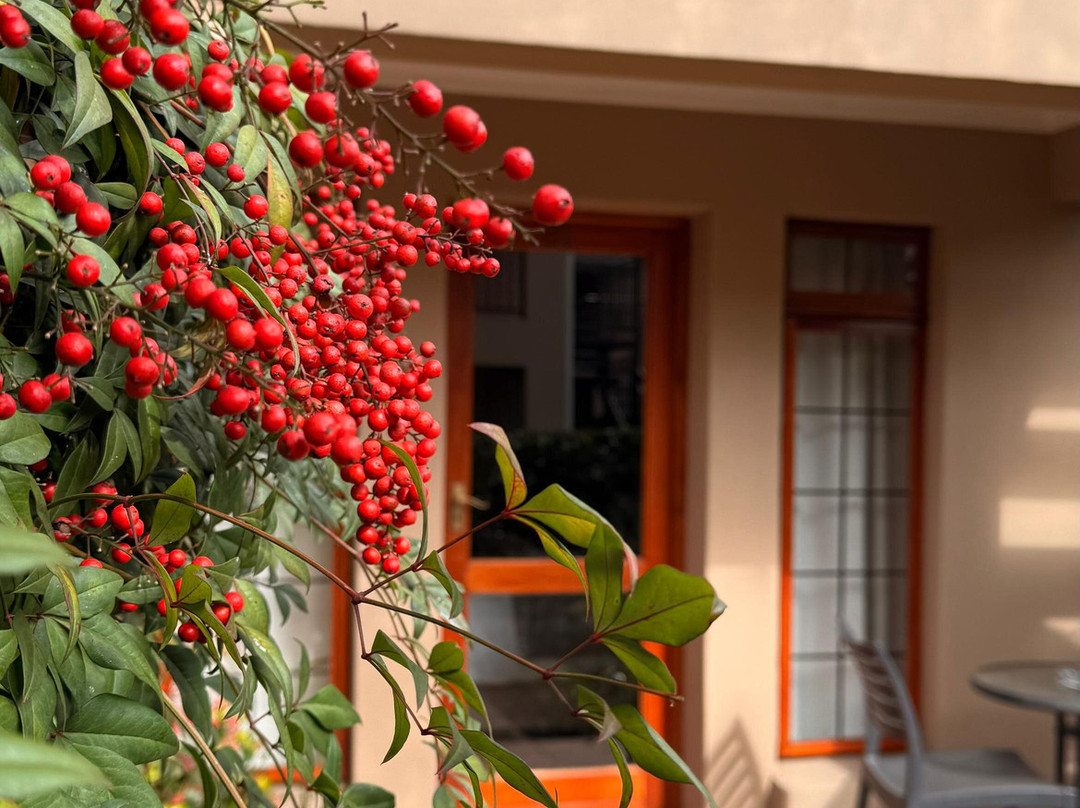 Del Roza Guest House主图