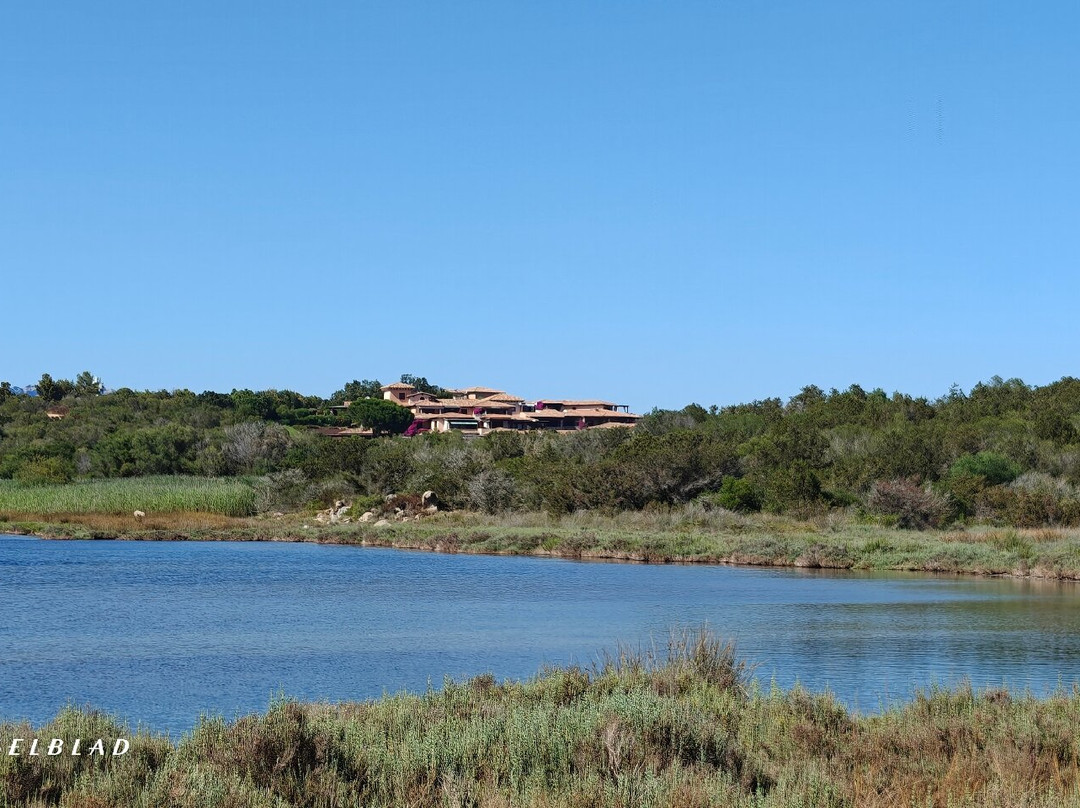 Spiaggia del porticciolo di Punta Aldia-Puntaldia必去景点