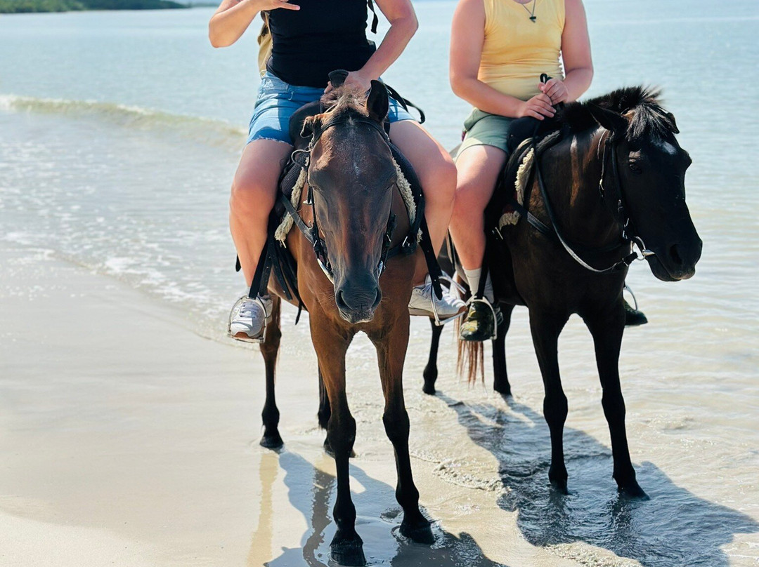 Reggae Horseback Riding-内格里尔必去景点