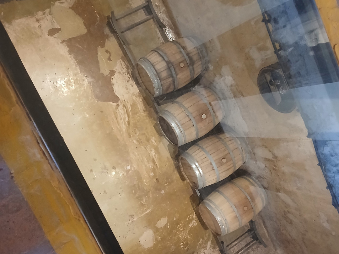 Bodega Labiano-圣拉斐尔必去景点